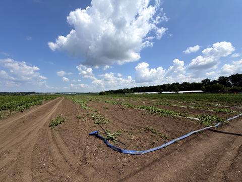 участок по адресу 1й провулок Немирівське шосе