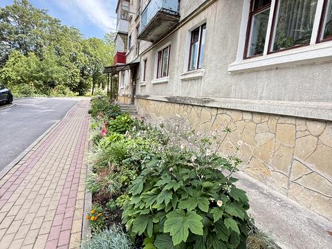 квартира за адресою Винниченка вул. (Карпенка), 1