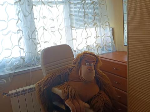 квартира за адресою Лісовий просп., 11