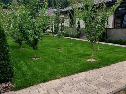 будинок за адресою Виноградів, Миру вул., 34