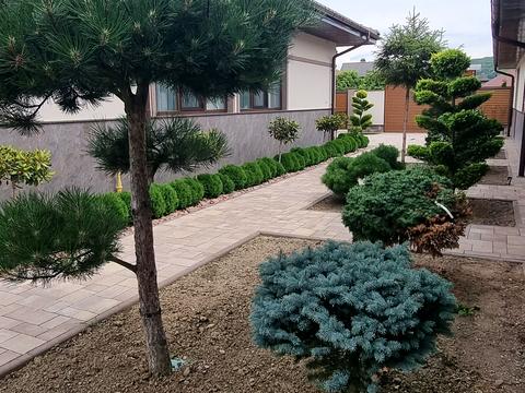 будинок за адресою Виноградів, Миру вул., 34