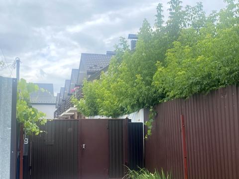 участок по адресу Севериновская ул. (Жовтнева)
