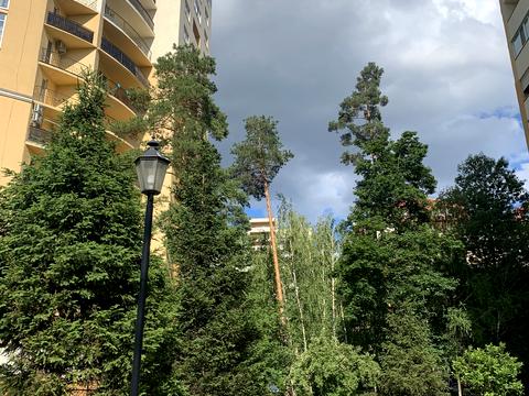 квартира по адресу Валерия Лобановского ул., 11