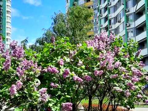 комерційна за адресою Вишгородська вул., 45-Г