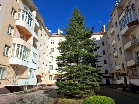 квартира по адресу Олеся ул., 25в