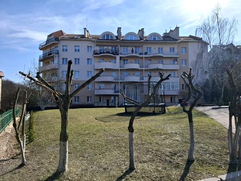 квартира по адресу Олеся ул., 25в