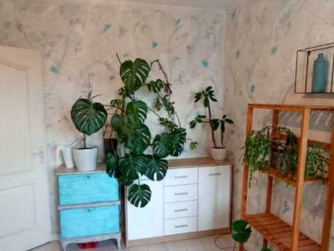 квартира по адресу Рабочая ул., 65
