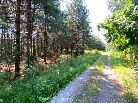 1870866254633272