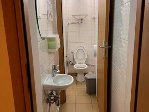 комерційна за адресою Зелена вул., 17