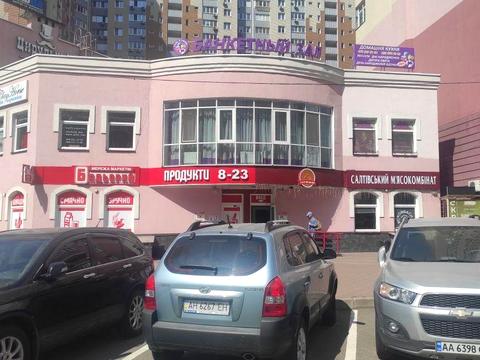 комерційна за адресою Єлизавети Чавдар вул., 20