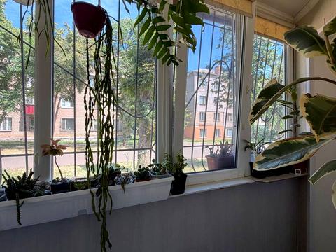 квартира за адресою Самоточна вул., 14
