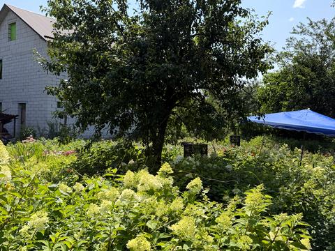 участок по адресу Академика Амосова ул., 9