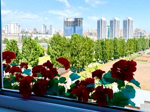квартира за адресою Київ, Карела Чапека вул. (Юліуса Фучика), 8