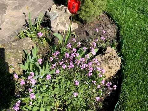 будинок за адресою Старочумацька вул. (Байкальська)