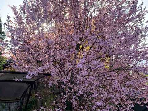 будинок за адресою Старочумацька вул. (Байкальська)