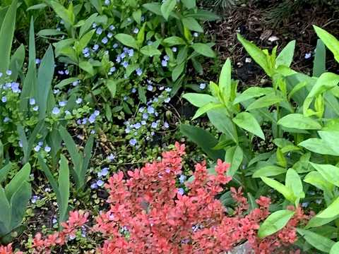 будинок за адресою Старочумацька вул. (Байкальська)