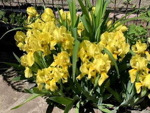 будинок за адресою Старочумацька вул. (Байкальська)