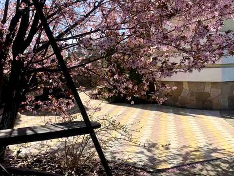 будинок за адресою Старочумацька вул. (Байкальська)