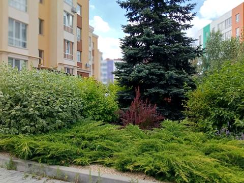 квартира по адресу Соборная ул., 103/20