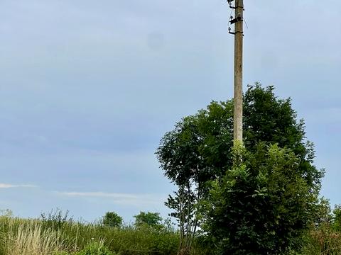 1870943245011244