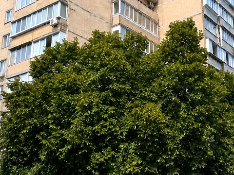 квартира за адресою Семенівська вул., 9