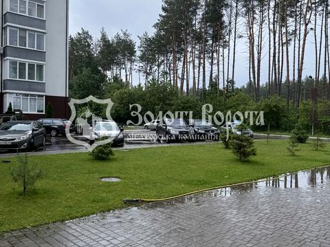 квартира за адресою Ідейна вул. (Ідейна), 13