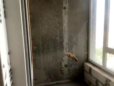квартира по адресу Правды просп. (Правди), 49