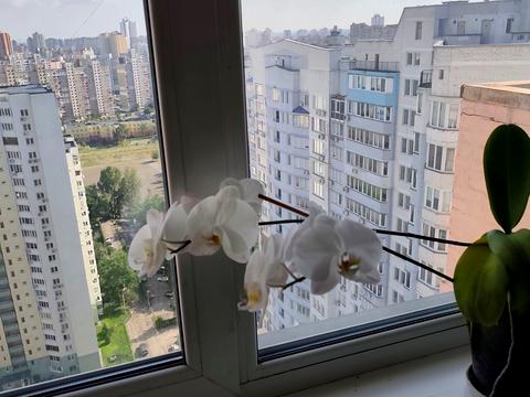 квартира по адресу Драгоманова ул., 6/1