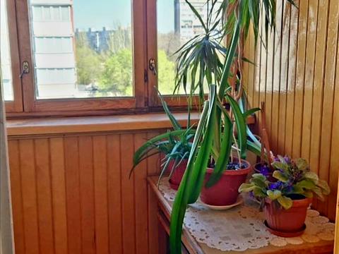 квартира за адресою Запоріжжя, Чарівна вул., 38-А