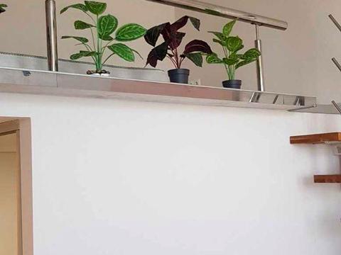 квартира по адресу Світлицького ул., (Будинок)