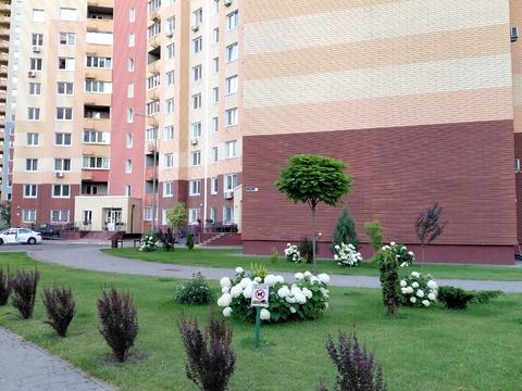 квартира по адресу Юлии Здановской ул. (Ломоносова), (Будинок 17)