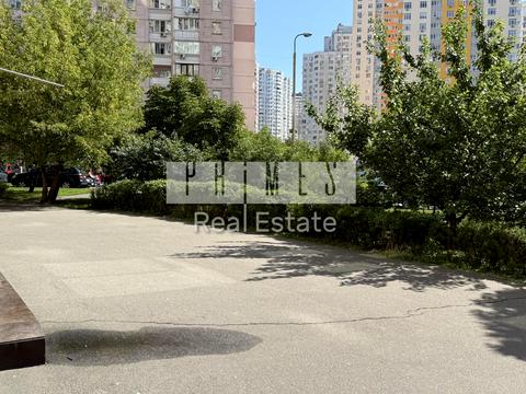 комерційна за адресою Олени Пчілки вул., 2