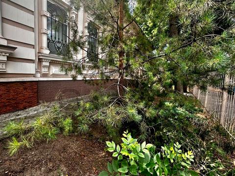 коммерческая по адресу Шнеерсона ул., 12 буд 2