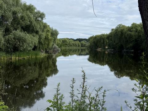будинок за адресою с. Світанок, Комунальна