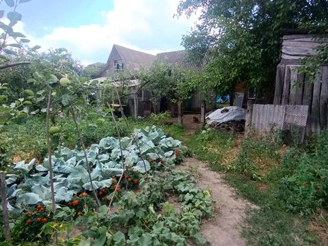 будинок за адресою Гнівань, Перемоги