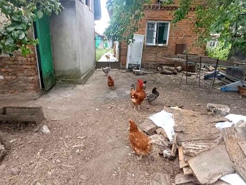 будинок за адресою Гнівань, Перемоги