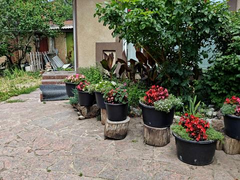 квартира за адресою Кропивницький, Архітектора Паученка вул. (Леніна), 71/42