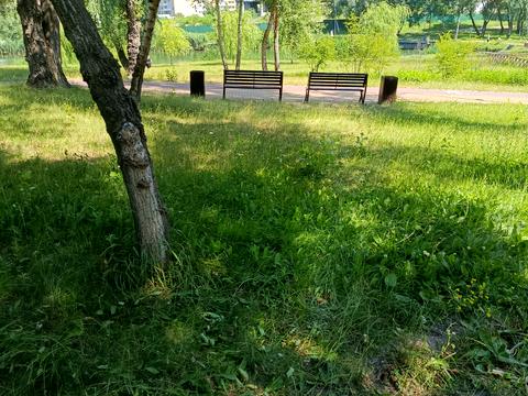 квартира за адресою Київ, Червоної Калини просп. (Володимира Маяковського), 1-Б