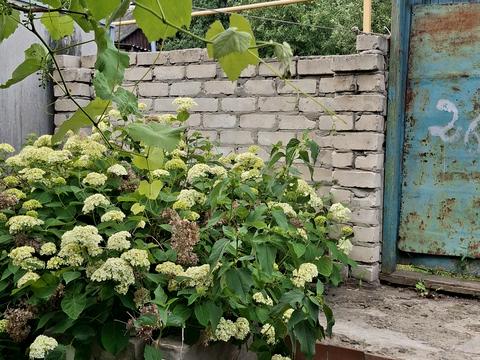 дом по адресу Новоолешківська