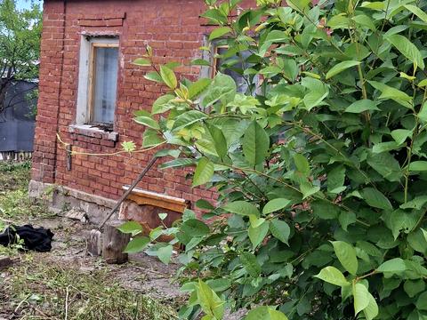 дом по адресу Новоолешківська