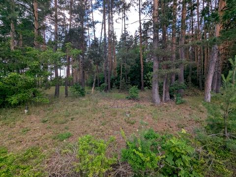 участок по адресу Каштановая ул. (Тракторна)