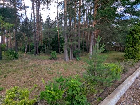 участок по адресу Каштановая ул. (Тракторна)