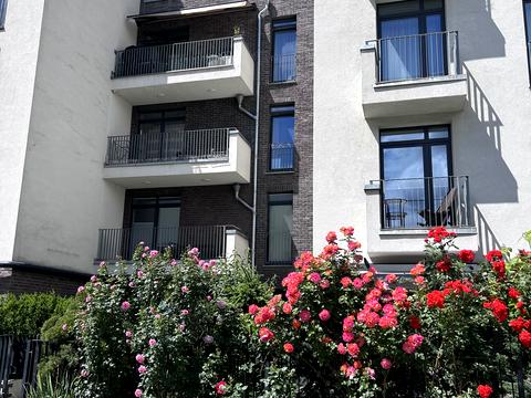 квартира за адресою Пасічна вул., 154а