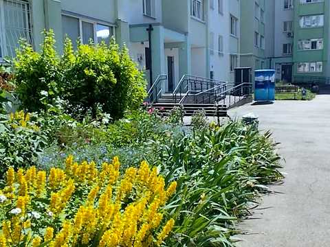 квартира по адресу Мира ул., 57