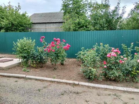 дом по адресу Житомирська, 18