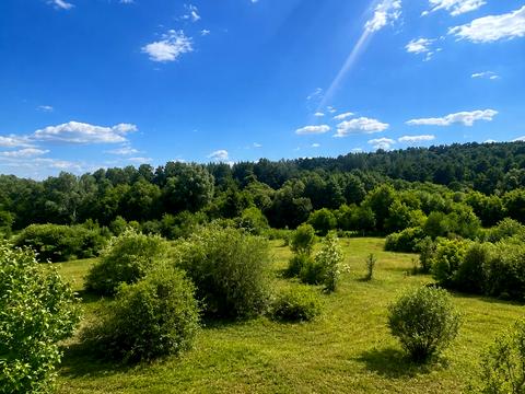 будинок за адресою Лісна вул.