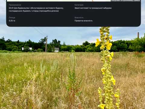 участок по адресу Шевченка, 16