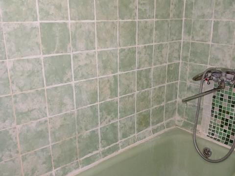 квартира по адресу Ольжича ул., 14