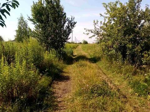 ділянка за адресою масив Березина