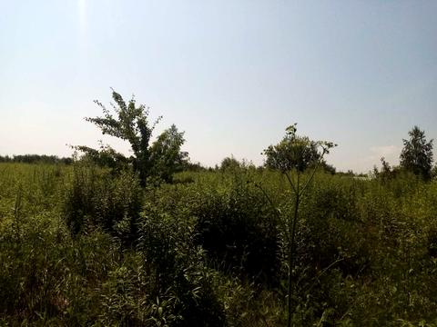 ділянка за адресою масив Березина